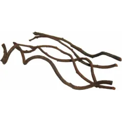 Curly Vine 60x1-2cm - Back Zoo Nature - 5,95 € - Back Zoo Nature - 8714835129301 - Ornibird SRL