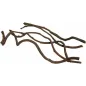 Curly Vine 60x1-2cm - Back Zoo Nature