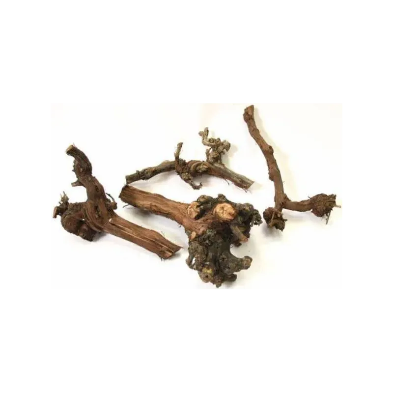 Grapevine Globet 35-45cm - Back Zoo Nature
