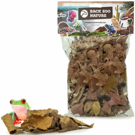 Feuilles Discovery pour reptiles 50gr - Back Zoo Nature à 4,95 € - Back Zoo Nature - ZF3522 - Décoration naturelle