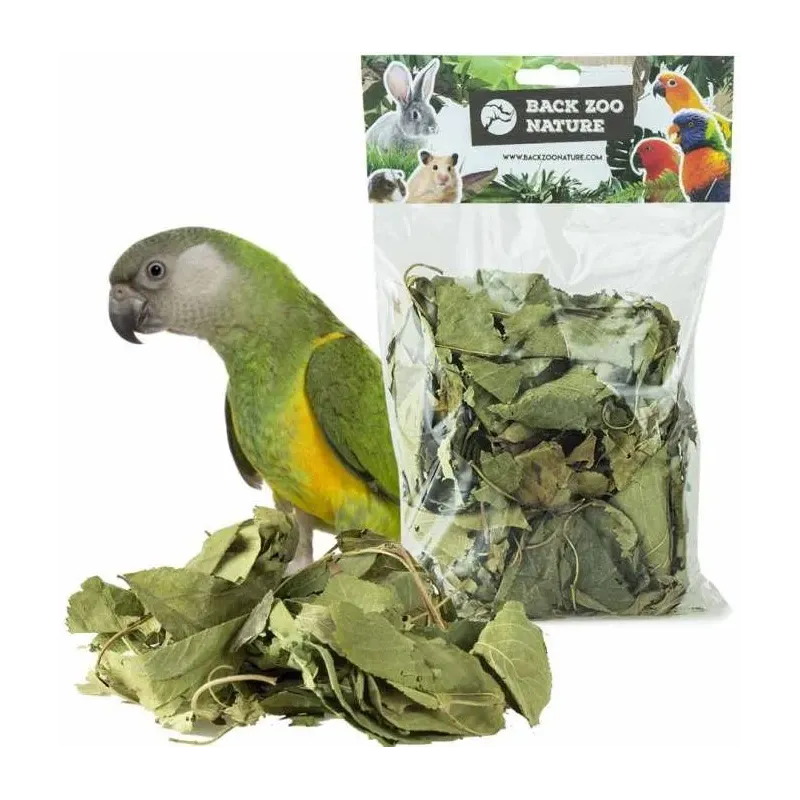 Feuilles du Verger Discovery 70gr - Back Zoo Nature Feuilles du Verger Discovery 70gr - Back Zoo Nature