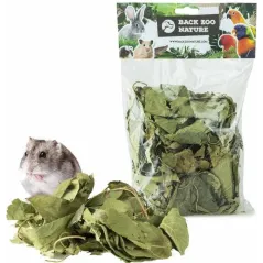 Feuilles du Verger Discovery 70gr - Back Zoo Nature - 4,95 € - Back Zoo Nature - 8784251814839 - Ornibird SRL