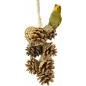 Guirlande Pommes de Pin - Back Zoo Nature à 6,95 € - Back Zoo Nature - ZF3555 - Jouets