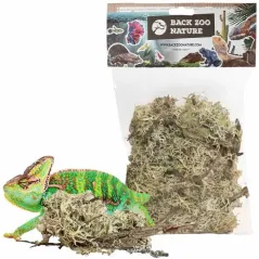 Mousse de Branche 50gr - Back Zoo Nature à 6,95 € - Back Zoo Nature - ZF4302 - Décoration