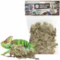 Mousse de Branche 50gr - Back Zoo Nature à 6,95 € - Back Zoo Nature - ZF4302 - Décoration