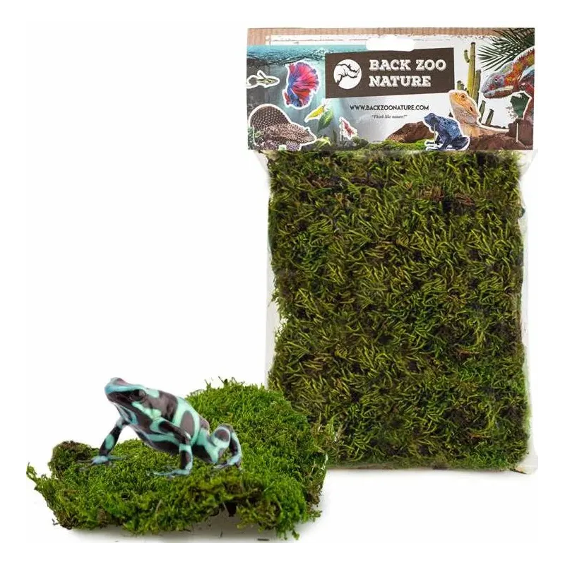 Mousse Forestière pour Reptiles 70gr - Back Zoo Nature Mousse Forestière pour Reptiles 70gr - Back Zoo Nature