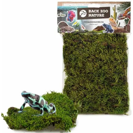 Mousse Forestière pour Reptiles 70gr - Back Zoo Nature à 4,95 € - Back Zoo Nature - ZF4304 - Décoration naturelle