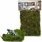 Mousse Forestière 70gr - Back Zoo Nature à 4,95 € - Back Zoo Nature - ZF4304 - Décoration naturelle