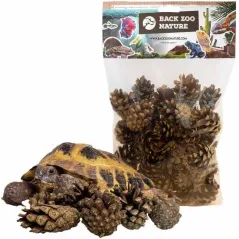 Pommes de Pin Forestière 300gr - Back Zoo Nature à 5,95 € - Back Zoo Nature - ZF4310 - Décoration naturelle