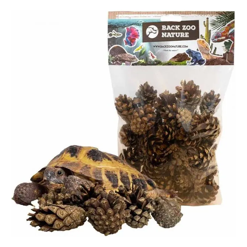 Pommes de Pin Forestière 300gr - Back Zoo Nature Pommes de Pin Forestière 300gr - Back Zoo Nature