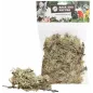 Mousse de Branches 50gr - Back Zoo Nature à 6,95 € - Back Zoo Nature - ZF4478 - Jouets