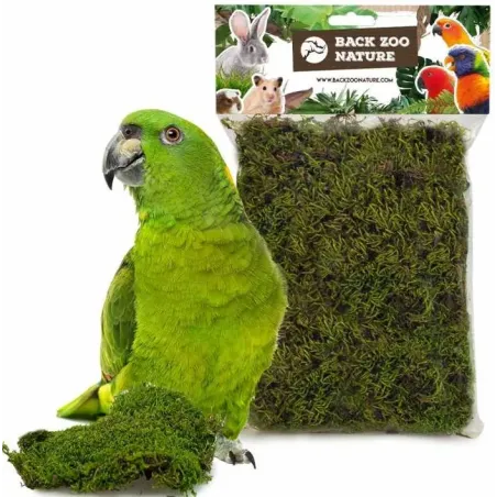 Mousse Forestière Oiseaux et Rongeurs 70gr - Back Zoo Nature à 4,95 € - Back Zoo Nature - ZF4483 - Jouets