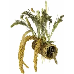 Willow Tunnel - Back Zoo Nature - 9,95 € - Back Zoo Nature - 8784251815614 - Ornibird SRL