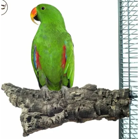 Corky Chew Large 10x20cm - Back Zoo Nature à 8,95 € - Back Zoo Nature - ZF5322 - Perchoirs