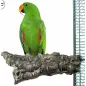 Corky Chew Large 10x20cm - Back Zoo Nature à 8,95 € - Back Zoo Nature - ZF5322 - Perchoirs
