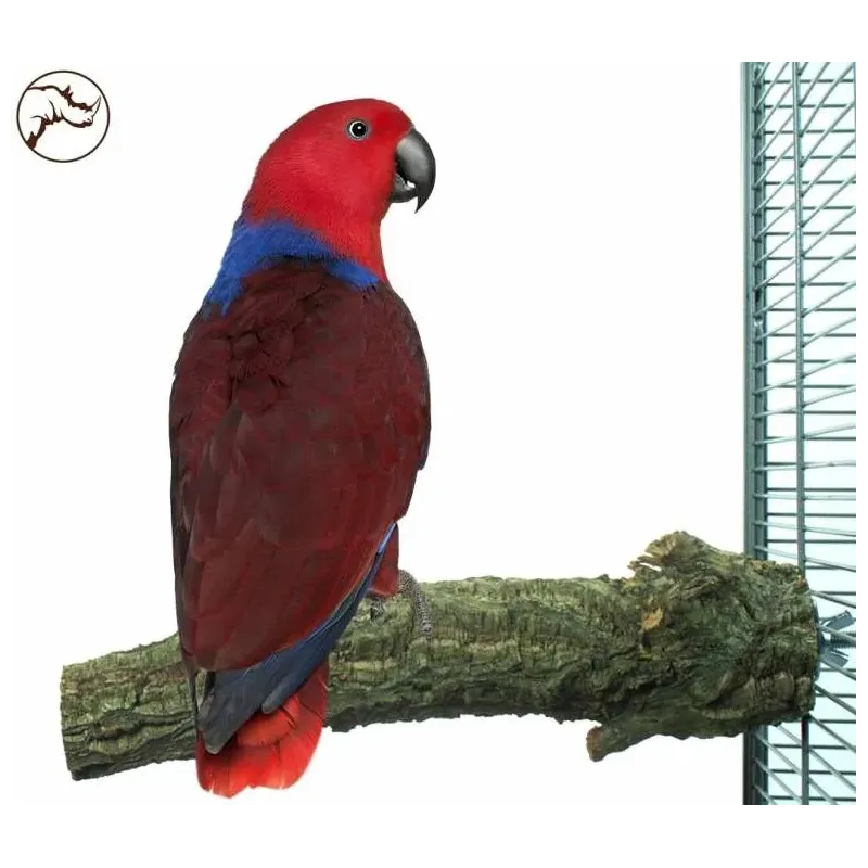 Corky Perch Large 6-8x30cm - Back Zoo Nature
