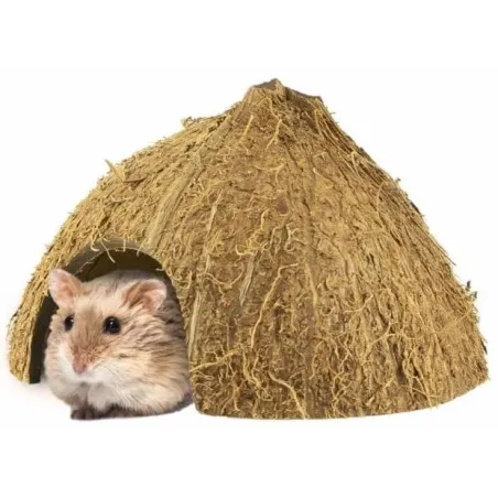 Coco Hiding Cave 8-12cm - Back Zoo Nature à 3,95 € - Back Zoo Nature - ZF6149 - Décoration