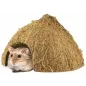 Coco Hiding Cave 8-12cm - Back Zoo Nature à 3,95 € - Back Zoo Nature - ZF6149 - Décoration