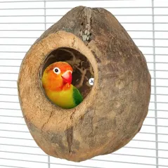 Villa Coconut - Back Zoo Nature à 8,95 € - Back Zoo Nature - ZF6152 - Nids