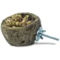 Bol Discovery - Back Zoo Nature à 6,95 € - Back Zoo Nature - ZF6155 - Mangeoires