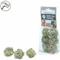 Treats Balls 6pcs - Back Zoo Nature à 3,95 € - Back Zoo Nature - ZF9251 - Jouets