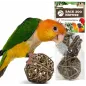 Treat Balls Large - Back Zoo Nature à 3,95 € - Back Zoo Nature - ZF9252 - Jouets