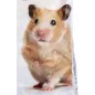 Hamster 750gr - Primus Hamster 750gr - Primus