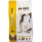 Cobaye 750gr - Primus Cobaye 750gr - Primus