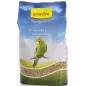 Mélange Petites Perruches X-Line 1kg - Benelux