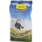 Mélanges Grandes Perruches X-Line 500gr - Benelux Mélanges Grandes Perruches X-Line 500gr - Benelux