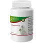 Vitamine A Plus 250gr - Avianvet Vitamine A Plus 250gr - Avianvet