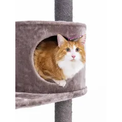 Arbre à chat Charlotte 134 Cappuccino - Petrebels - 199,00 € - Petrebels - 8719425791777 - Ornibird SRL