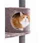 Arbre à chat Charlotte 134 Cappuccino - Petrebels