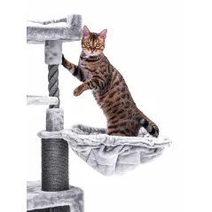 Arbre à chat Parklane 131 Gris - Petrebels - 269,00 € - Petrebels - 8719425793528 - Ornibird SRL