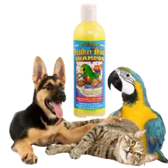 Feather Shine Shampooing 503ml - King's Cages - 19,95 € - King's Cages -  - Ornibird SRL