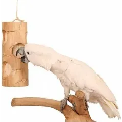 Brochet L/21x8x8cm - Bird Kabob à 12,95 € - Bird Kabob - BK20093 - Jouets