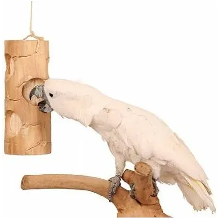 Brochet L/21x8x8cm - Bird Kabob à 12,95 € - Bird Kabob - BK20093 - Jouets