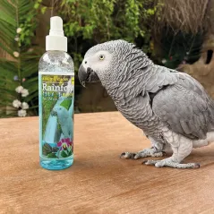 Rainforest Mist Bath Spray Pour Perroquets Africains 503ml - King's Cages - 19,95 € - King's Cages - 3000000238547 - Ornibird SRL