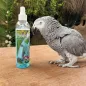 Rainforest Mist Bath Spray Pour Perroquets Africains 503ml - King's Cages Rainforest Mist Bath Spray Pour Perroquets Africains 503ml - King's Cages
