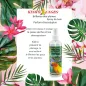 Rainforest Mist Bath Spray Feather Shine Pour Tous Perroquets 240ml - King's Cages Rainforest Mist Bath Spray Feather Shine Pour Tous Perroquets 240ml - King's Cages