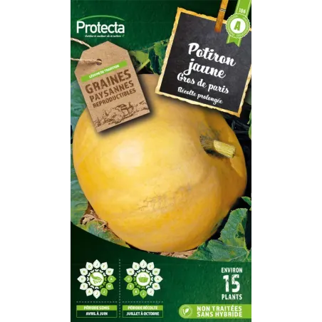 Potiron Jaune Gros de Paris - Cat. A - Protecta à 2,40 € - Protecta - SE-POT-00082 - Plantes, Buis & Légumes