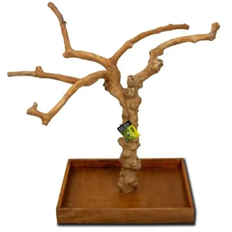 Arbre de Java 60/80cm - Giga Bird