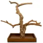 Java 80 / 100cm Tree - Giga Bird