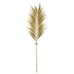 Décoration Tige de Bambou Herbe de Rayung 200cm - Giganterra à 14,95 € - Giganterra - G02-03298 - Décoration naturelle