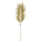 Décoration Tige de Bambou Herbe de Rayung 200cm - Giganterra à 14,95 € - Giganterra - G02-03298 - Décoration naturelle