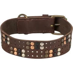 Rustic Collier en fibre de cuir Rivets, extra large L 47-54cm - Trixie - 32,99 € - Trixie - 4011905682853 - Ornibird SRL