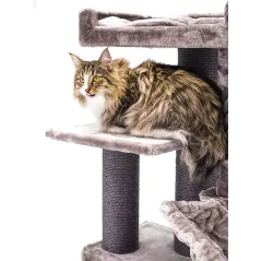 Arbre à Chat Parklane 131 Cappuccino - Petrebels - 269,00 € - Petrebels - 8719425793535 - Ornibird SRL
