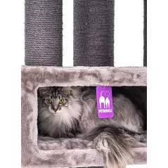 Arbre à Chat Parklane 131 Cappuccino - Petrebels - 269,00 € - Petrebels - 8719425793535 - Ornibird SRL