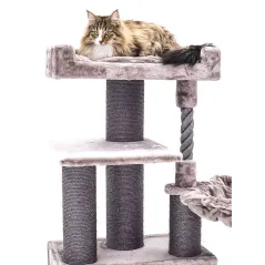 Arbre à Chat Parklane 131 Cappuccino - Petrebels - 269,00 € - Petrebels - 8719425793535 - Ornibird SRL