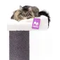 Arbre à Chat Maine Coon 117 Off White - Petrebels Arbre à Chat Maine Coon 117 Off White - Petrebels